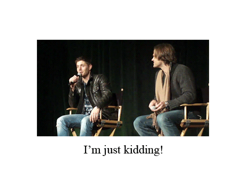 tumblr_lfcync5yrN1qe5cn6o1_500.gif