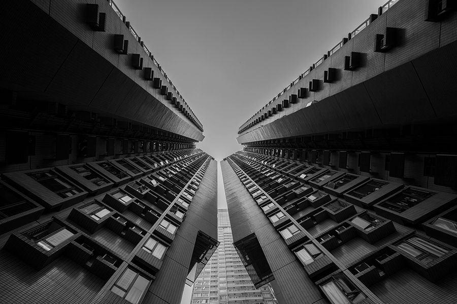Fotografie