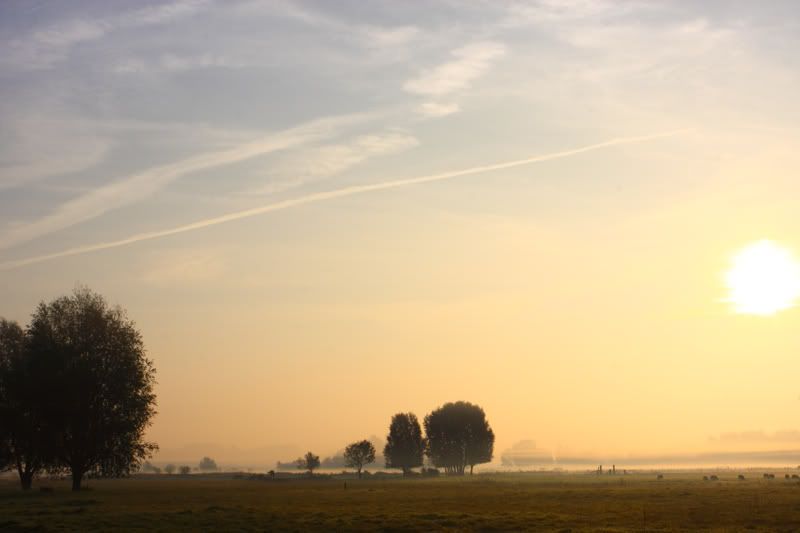 Fotografie