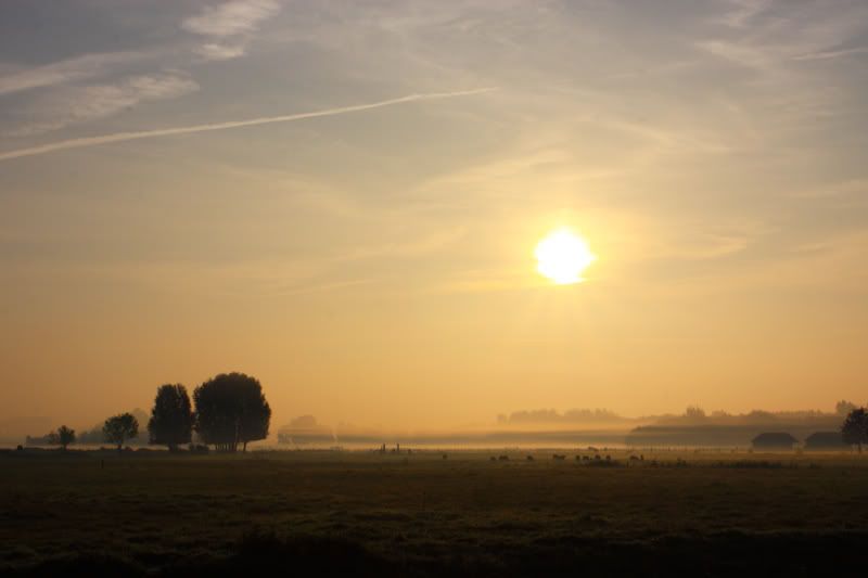 Fotografie