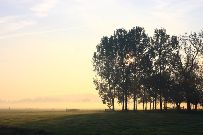 Fotografie