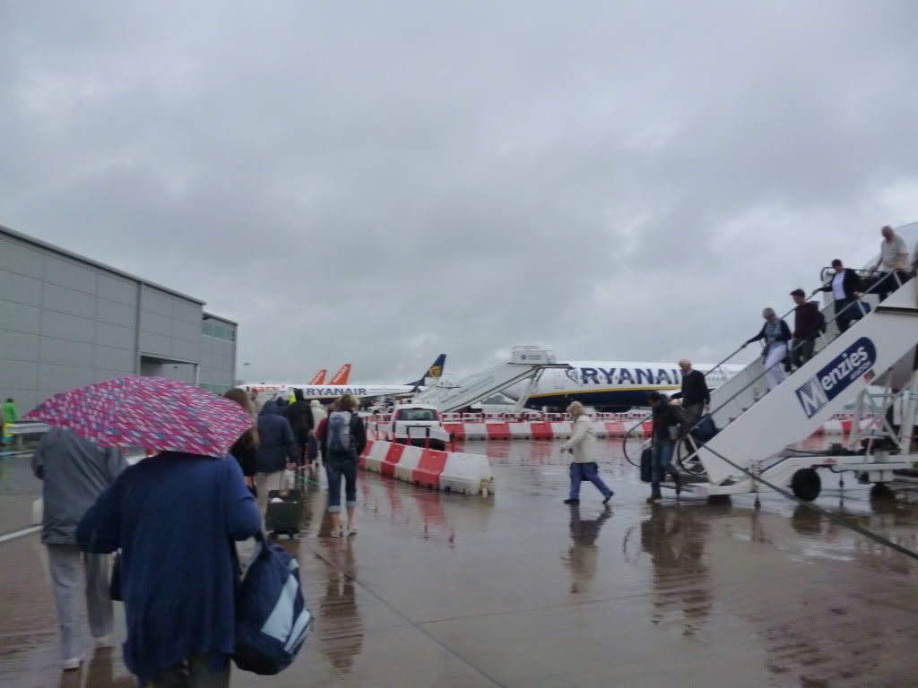 P1010074.jpg