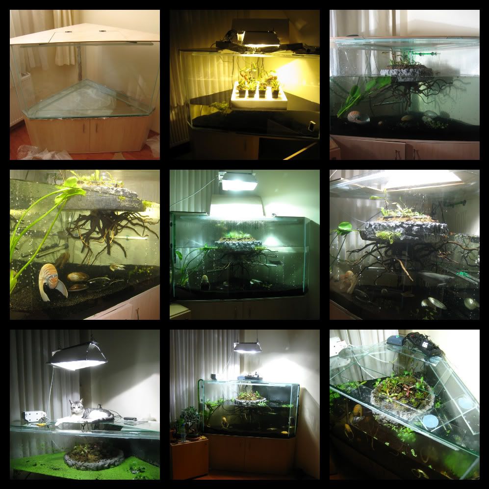 87GlassCover-1.jpg