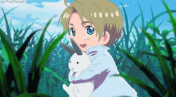 hetalia gifs photo: Hetalia america with bunny tumblr_mnvz1dwWbI1s9ac1uo5_r1_250_zpsc420829f.gif