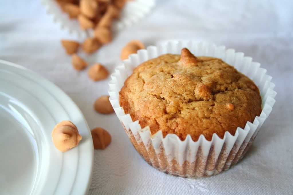 Blondies Cupcakes