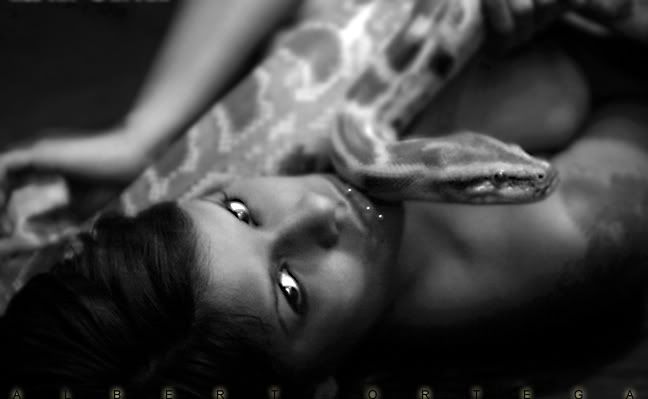http://i1082.photobucket.com/albums/j374/ortegaphoto/roxx18.jpg