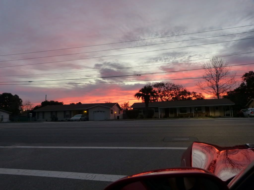 P1000027.jpg