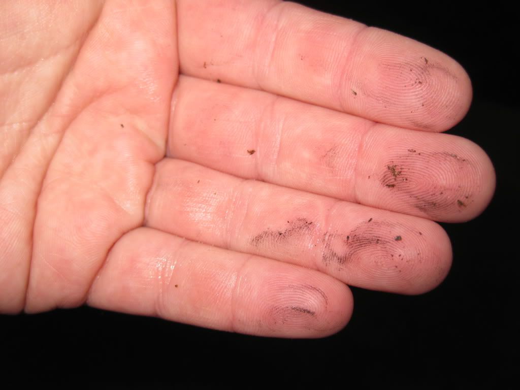Before.jpg