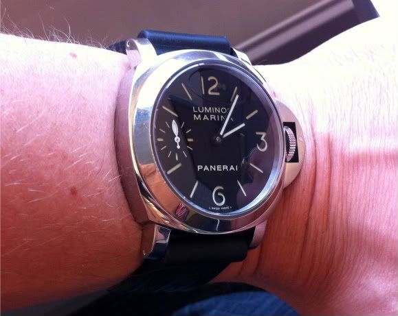 PAM111.jpg