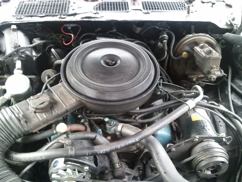 First car: 1978 Camaro. 6 years later, progress pics | NastyZ28.com