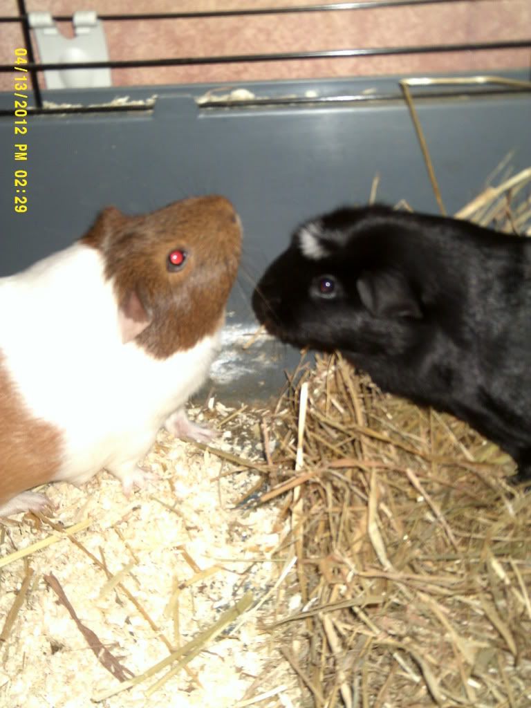 DSCF0035.jpg