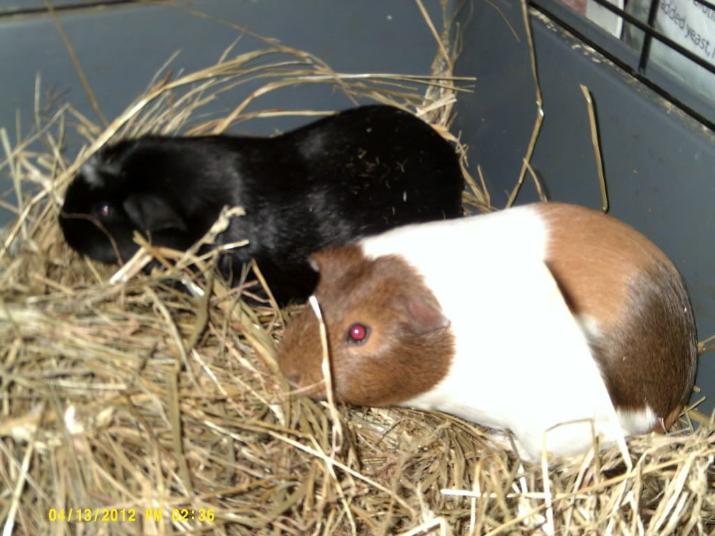 DSCF0043.jpg