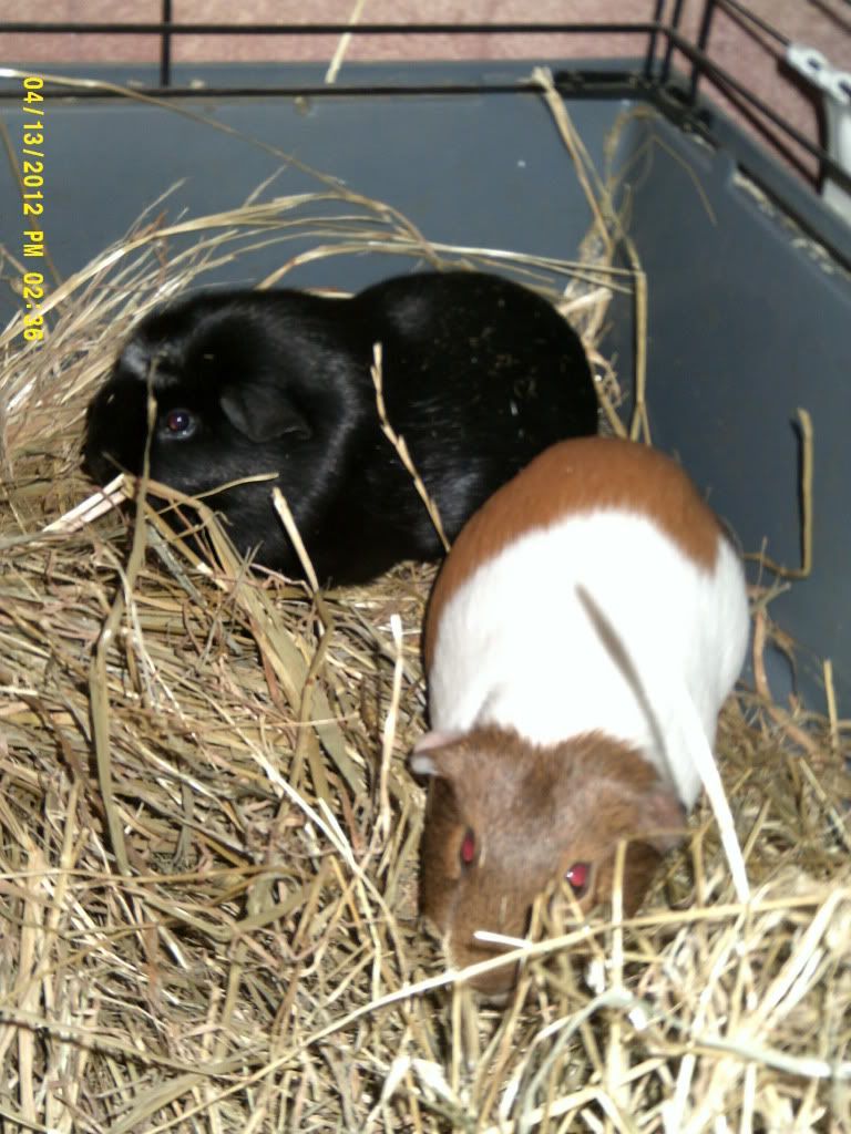 DSCF0044.jpg