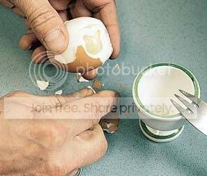 2-4.jpg