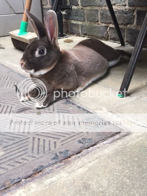  photo IMG_2543_zpshvpjs3nv.jpg