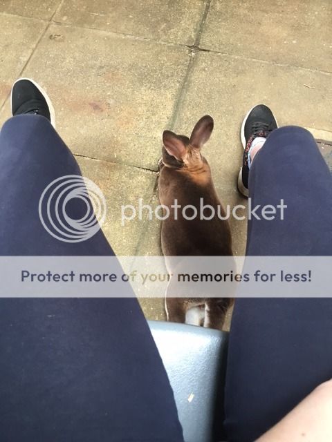  photo IMG_2549_zpsu4rwfn61.jpg