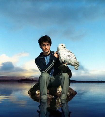 daniel radcliffe photo: Daniel Radcliffe DanielRadcliffe178.jpg