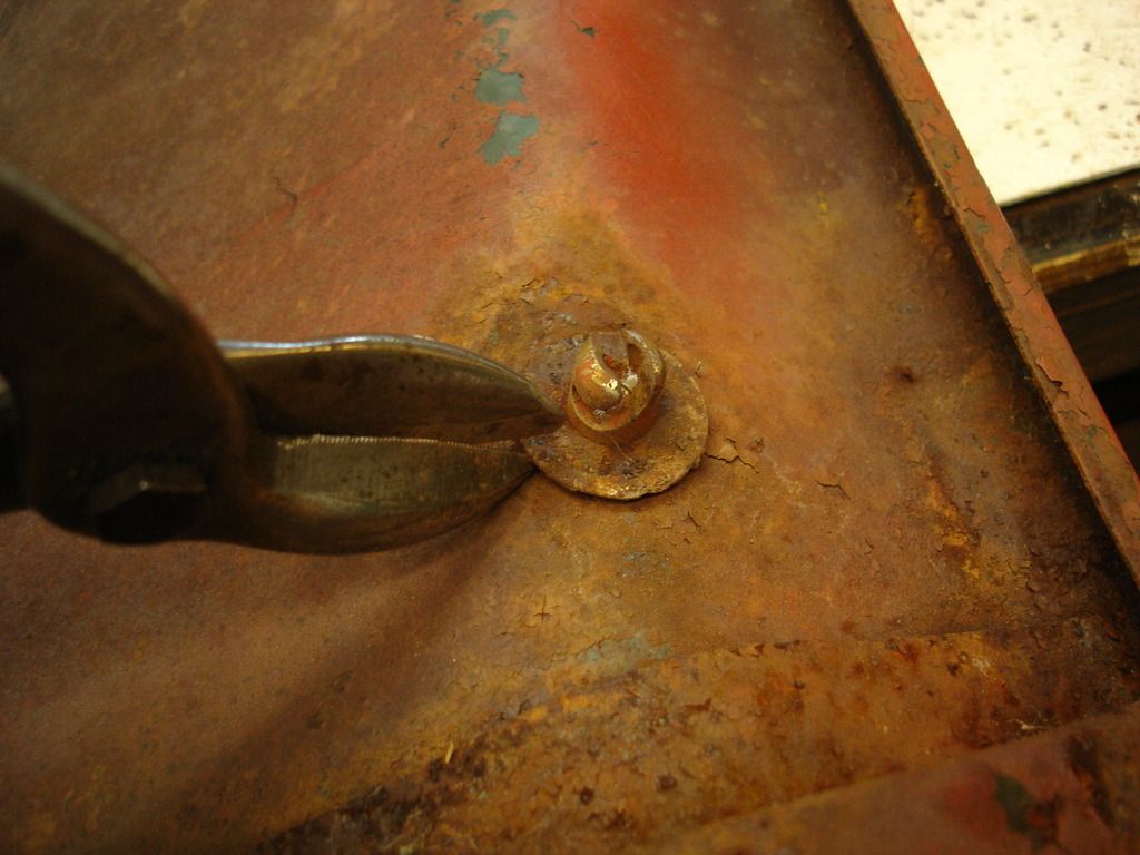 DSC03242.jpg