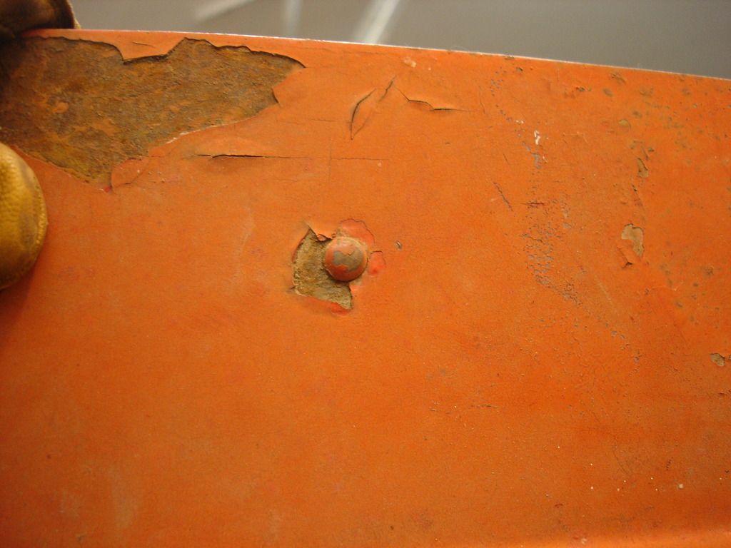 DSC03253.jpg