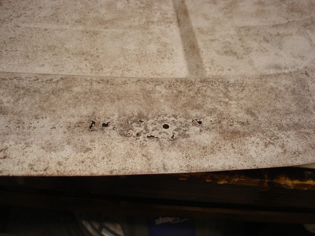 DSC03275.jpg
