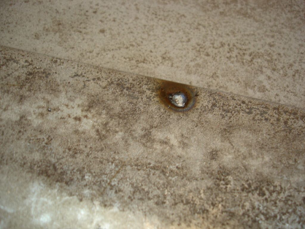 DSC03280.jpg