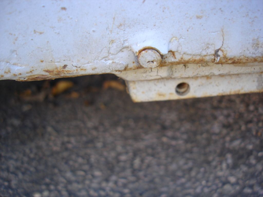 DSC03469.jpg