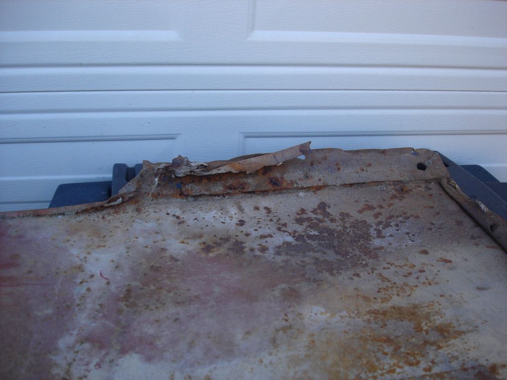 DSC03473.jpg