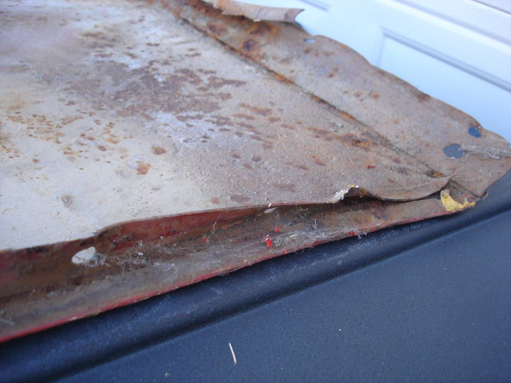 DSC03475.jpg
