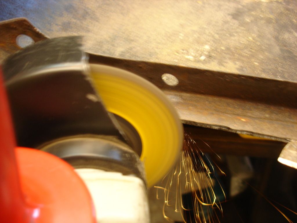 DSC03484.jpg
