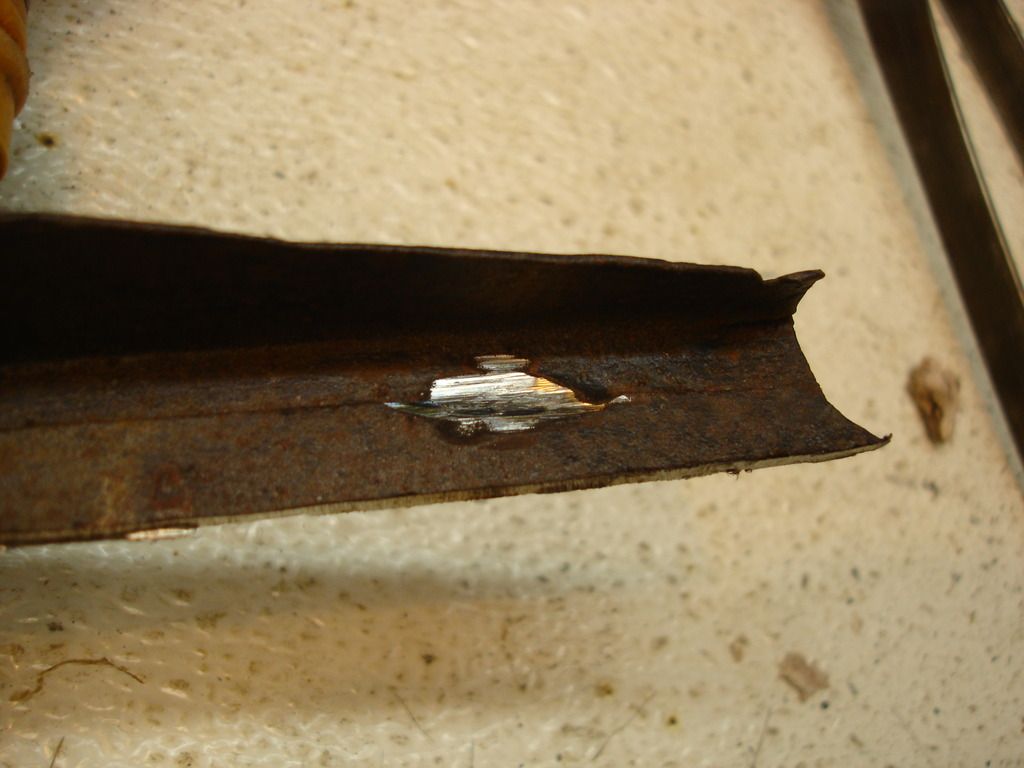 DSC03488.jpg