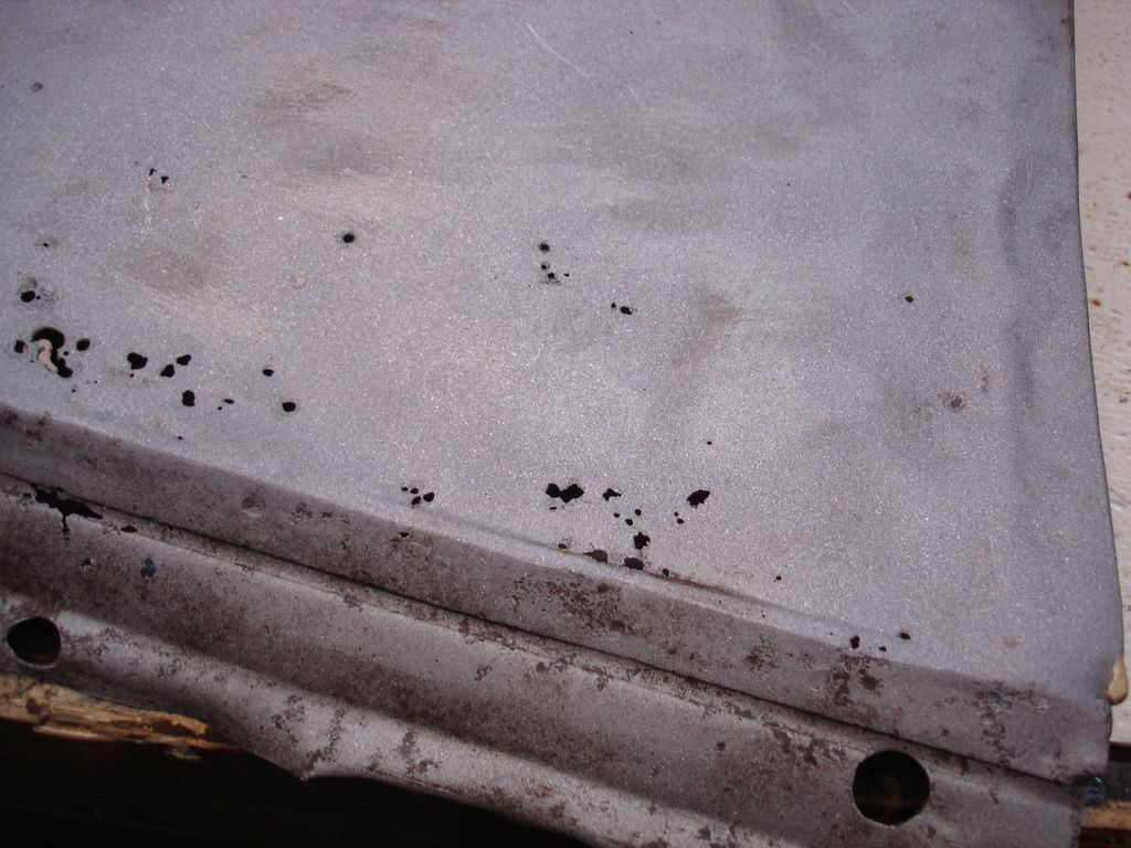 DSC03491.jpg