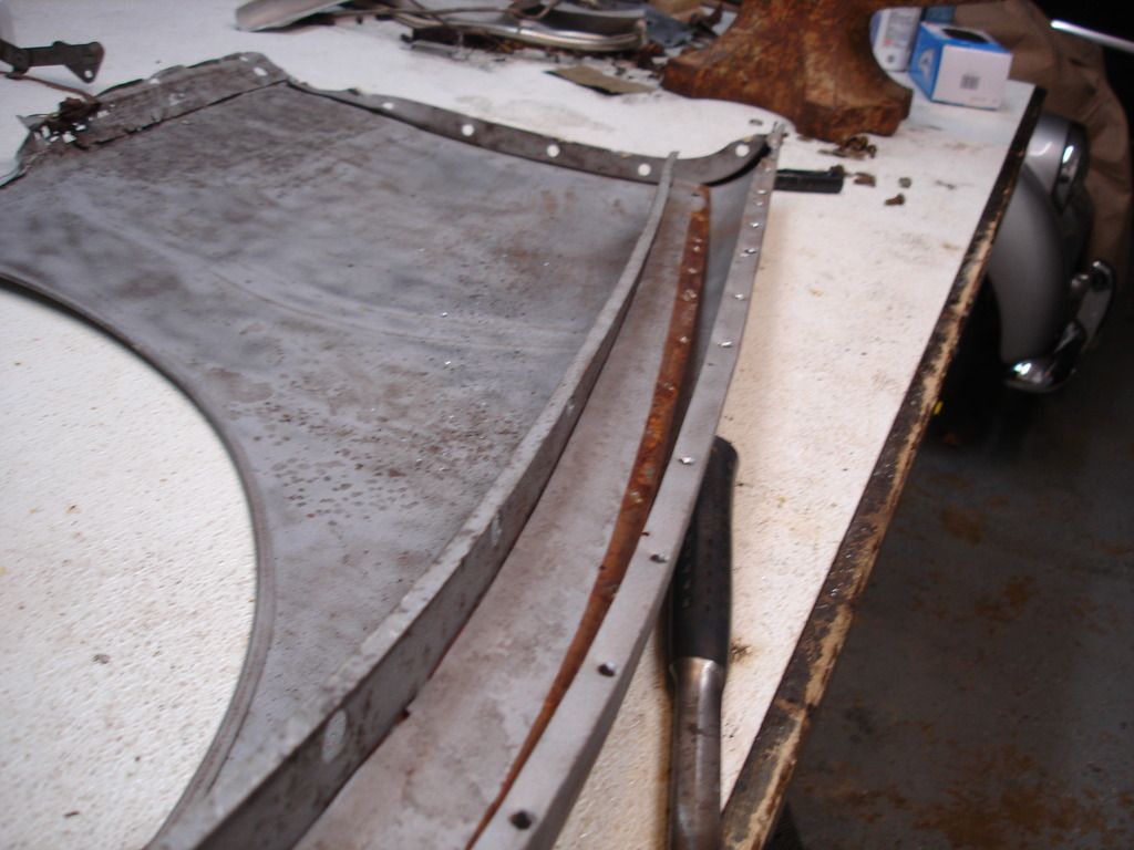 DSC03494.jpg