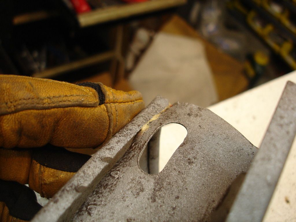 DSC03495.jpg