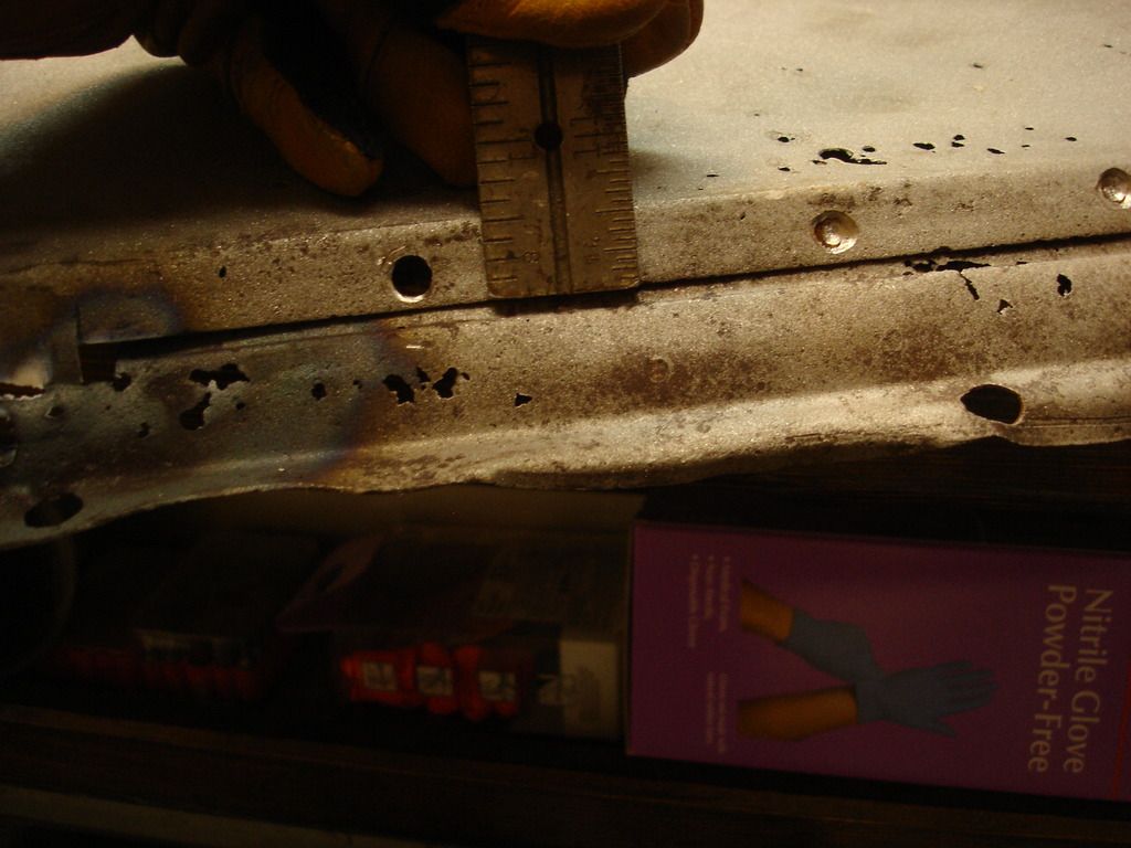DSC03499.jpg