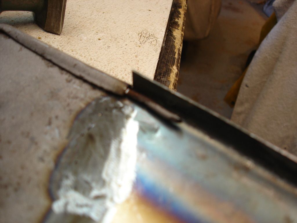 DSC03519.jpg