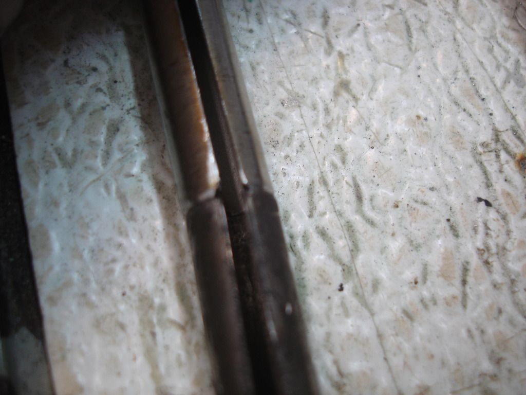 DSC06033.jpg