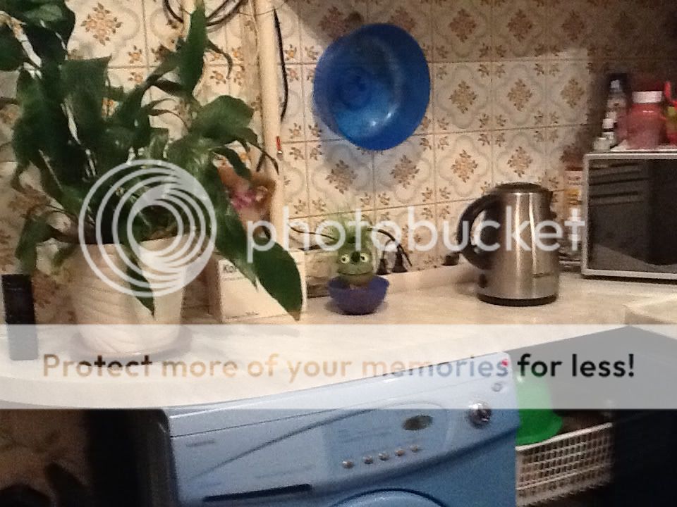 Photobucket Pictures, Images and Photos