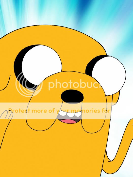 Jake the dog photo: Jake the dog jake.jpg